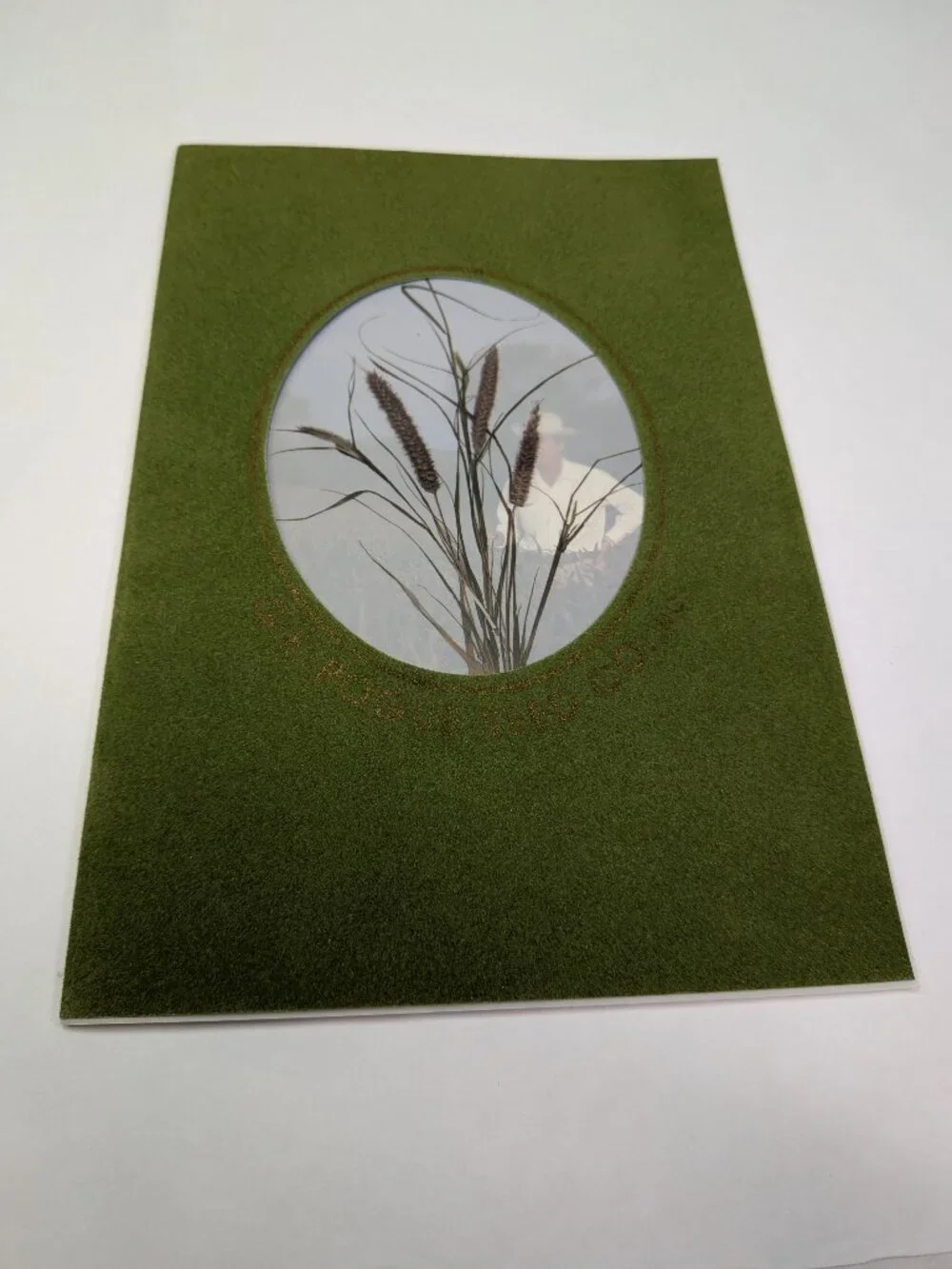 Flocked Cover Mat Vintage 1983 G.E. Pogue Seed Co Catalog Texas Grass Ephemera